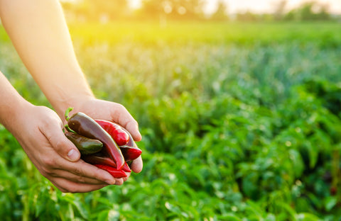 "Life's persistent and most urgent question is, 'What are you doing for others?"